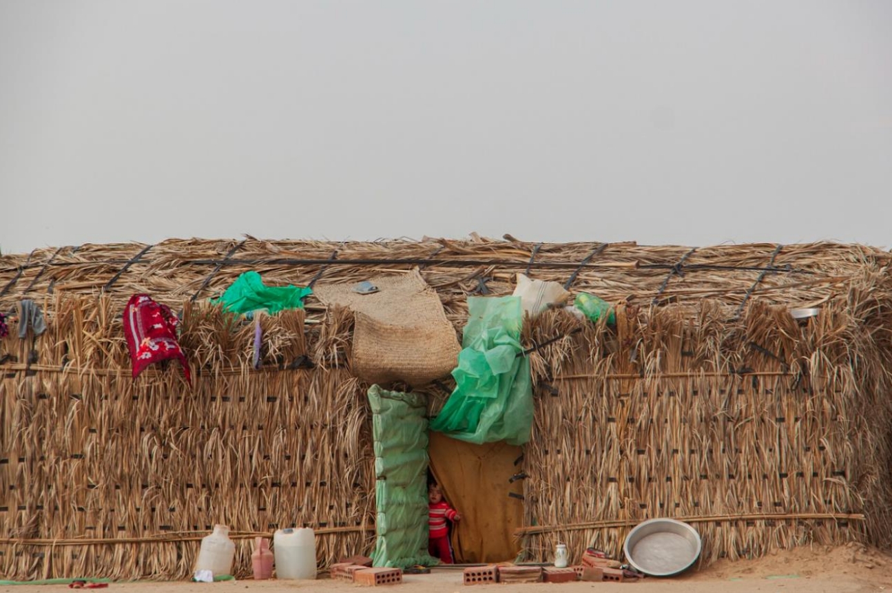 2025年——【兴趣小组】关注矿业、社区与原住民以及林地问题